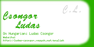 csongor ludas business card